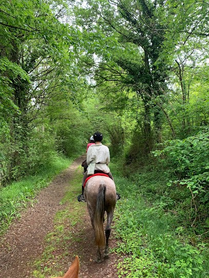 Esprit Equi-Libra, Centre Equestres à Normier