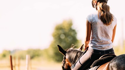 LA BLANCHARDIÈRE, Centre Equestres à Saint-Laurent-sur-Sèvre