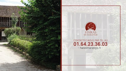 Haras De Marangis | Centre équestre | Pensions Pour Chevaux (77), Centre Equestres à Vernou-la-Celle-sur-Seine