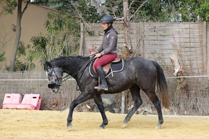 Les écuries Du Viaduc, Centre Equestres à Ventabren