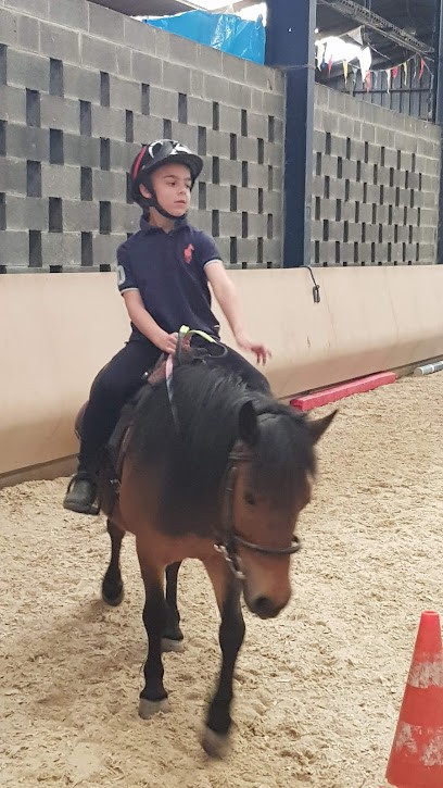 SCEA ECURIE DES 4 MUIDS, Pension pour Chevaux à Haspres