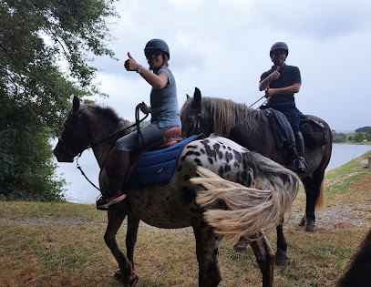 La Folie Des Grandeurs, A Cheval, Centre Équestre à Lembeye