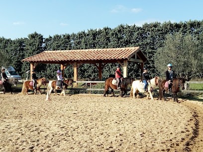 Les écuries De Font Cluse, Centre Equestres à Meynes