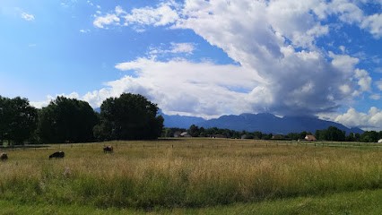 Les écuries de la dame d'haute-savoie, Pension pour Chevaux à Reignier-Ésery
