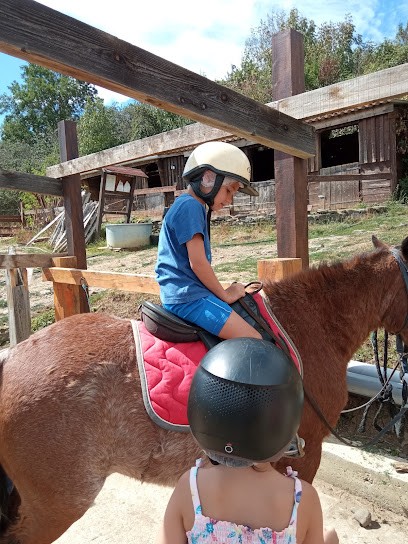 Penot Jean-Pierre, Centre Equestres à Massiac