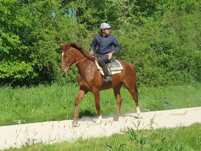 Écuries Les Vieillères, Centre Equestres à Segré-en-Anjou Bleu