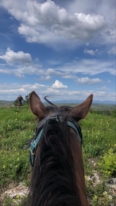Equi-Larzac, Centre Equestres à La Vacquerie-et-Saint-Martin-de-Castries