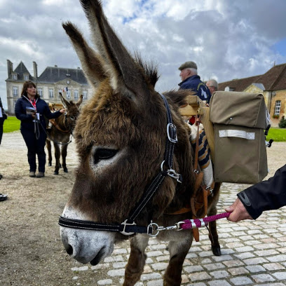 Centre De Valorisation Du Haras Du Pin Centre Équestre au Pin-au-Haras