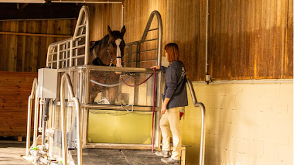 Equi Bains, Pension Pour Chevaux à Varennes-Jarcy