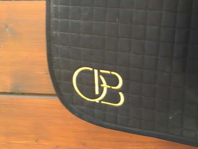 Brissaud Ophelie, Centre Equestres à Oytier-Saint-Oblas