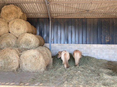 Écurie Bluemoon, Centre Equestres au Magny