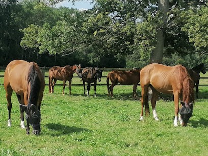 Ecurie et Elevage de Courtenain, Centre Equestres à Nangis