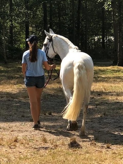 Equestrian Club, Centre Equestres à Saint-Ouen-les-Vignes