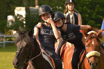 Horse Riding Ecole Du Waldhof Equestrian Center Ville De Strasbourg, Centre Equestres à La Wantzenau