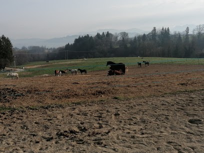 ECURIE DU CHENELET, Centre Equestres à Massingy