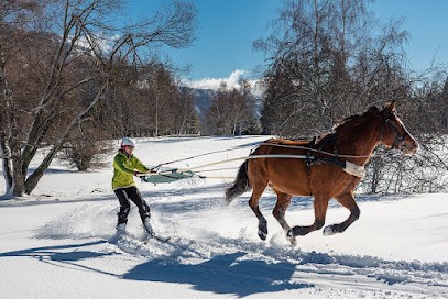 Cercle Equestre Volte Face, Centre Equestres aux Déserts