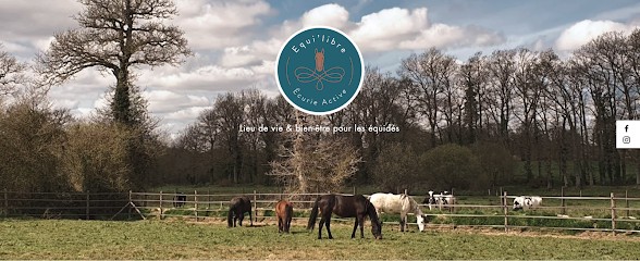 Pension Ecurie Active Equi'Libre, Pension pour Chevaux à Saint-Onen-la-Chapelle