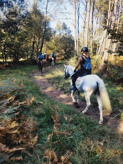 Ecuries De Kerviolo, Centre Equestres à Loyat