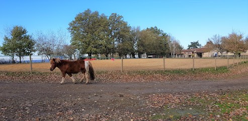 Ferme Equestre Puech Merlhou, Centre Equestres à Saint-Grégoire