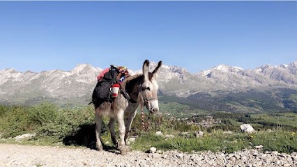 Les ânes De Milou, Centre Equestres à Dévoluy