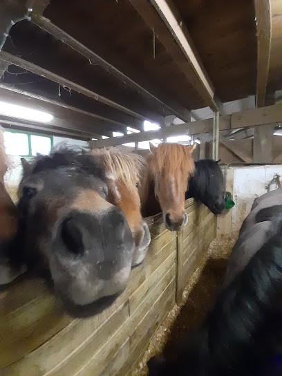 Academy Équilibre, Centre Equestres à La Celle-Saint-Cloud
