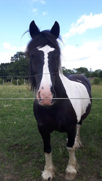 Ecrin Sauvage, Centre Equestres à Couffé