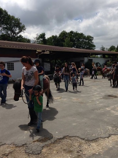 Les Écuries De Hautefeuille, Centre Equestres à Hautefeuille