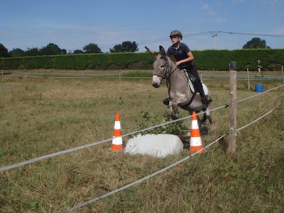 Erimûr'anes, Centre Equestres à Mûrs-Erigné