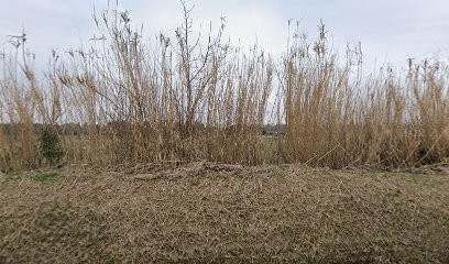 Air De Galop, Pension pour Chevaux à Cavaillon