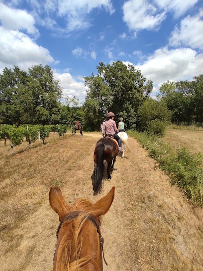 CENTRE EQUESTRE LA PALOMBE, Centre Equestres à Saint-Denis-de-Pile