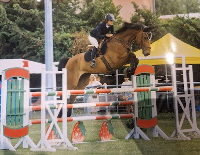 Ecurie ST Jump, Centre Equestres à Lédenon