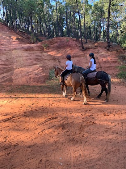 Les Bazarettes, Centre Equestres à Mormoiron