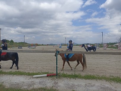 Haras De Prat, Centre Equestres à Romagnat