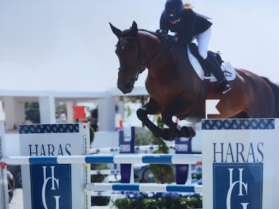 Elevage de bedon, Centre Equestres à Lupcourt