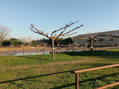 ECURIES D EROSES, Centre Equestres à Sénas