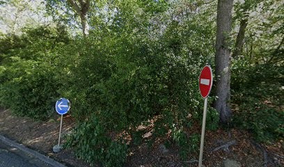 Comité Officiel Des Holidays De Labège, Centre Equestres à Labège