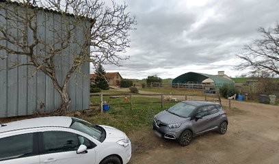 CENTRE EQUESTRE PONEY CLUB LES THENAUDS, Centre Equestres à Neuilly-le-Réal