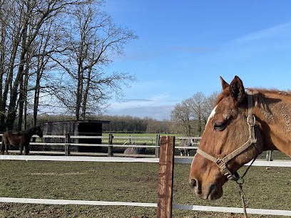 Ecuries de la Coudrelle, Centre Equestres à La Madeleine-de-Nonancourt