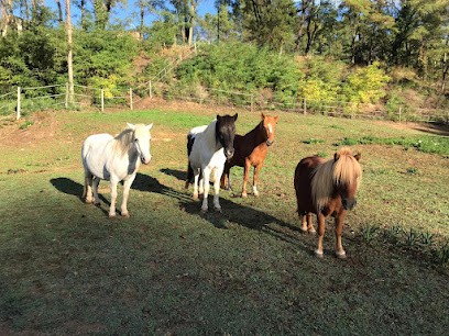 Naturanimo, Centre Equestres à Peyrins