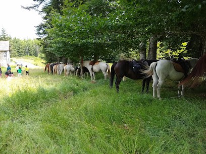 Tourism Center Equestre L'éperon, Centre Equestres à Saint-Cirgues-en-Montagne