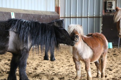 Ecurie - Poney Club Le Cheyenne, Centre Equestres à Saint-Cyr-sur-Morin