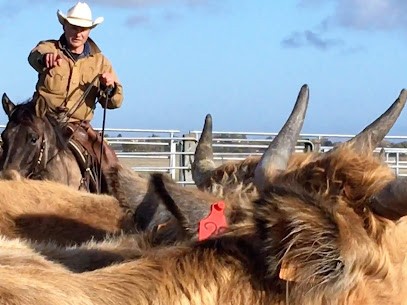 Ddranchwork, Centre Equestres au Saint