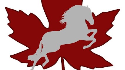 Ecuries de l'Erable, Pension pour Chevaux à Janzé