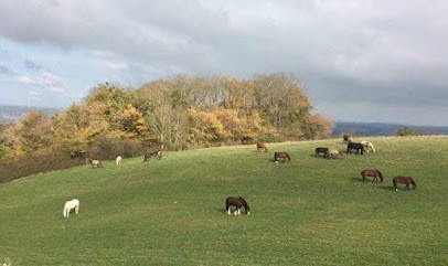 Sermet Quarter Horses, Centre Equestres à Chèzeneuve