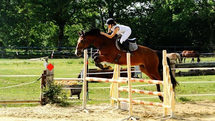 Pony Club Equestrian Center Le Grand Montgenard, Centre Equestres à Martigné-sur-Mayenne