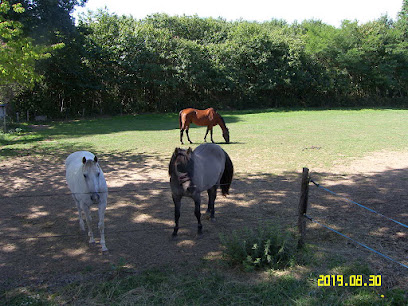Elevage Des Sageries Pension, Pension Pour Chevaux à la Chapelle-Saint-Fray