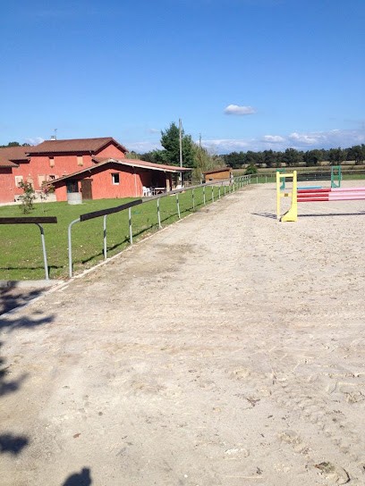 BF-Horse Sport, Centre Equestres au Plantay