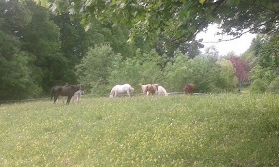 Ranch El Altiplano, Centre Equestres à Aranc