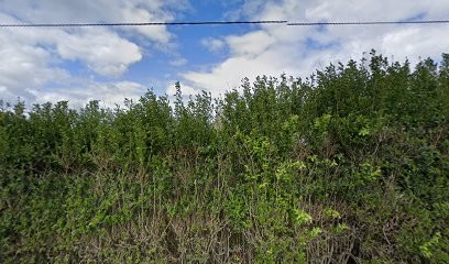 Les Ecuries De Nano, Centre Equestres à Joudes