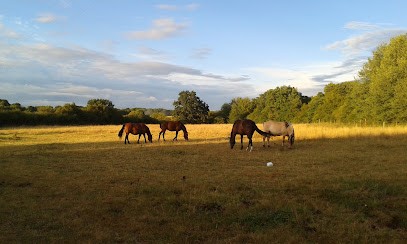 Ecuries des 3 Sources, Centre Equestres à Sancoins